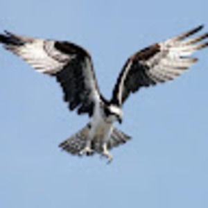 Meet your Posher, Junaid